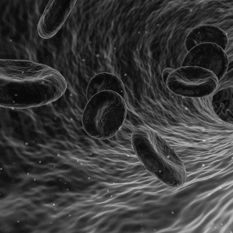 Services London Hair Transplant Clinic